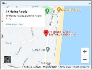 Google Map API Example